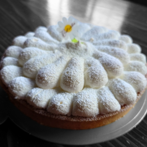 �^���g�I�V�g����